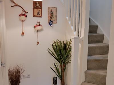 Picture 15